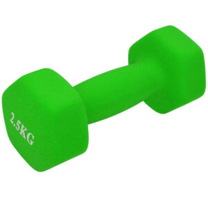 Mancuerna para fitness y aeróbic 2,5 kg